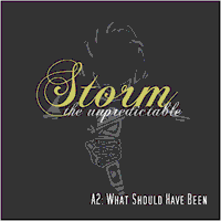 Storm the unpredictable - A2: What Should Have Been
